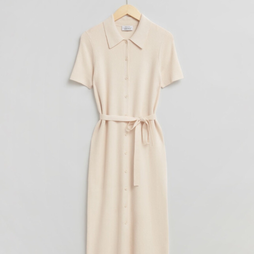 & Other Stories Fitted Midi Buttoned Shirt Dress | Medium - Picture 2 of 7